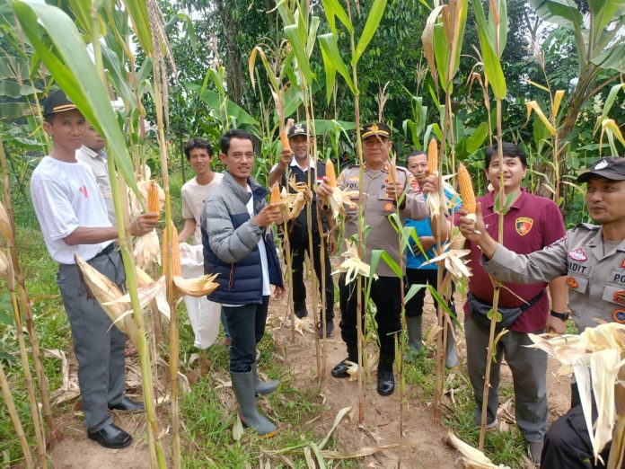 WhatsApp Image 2025-04-10 at 06.47.29_df593f4e