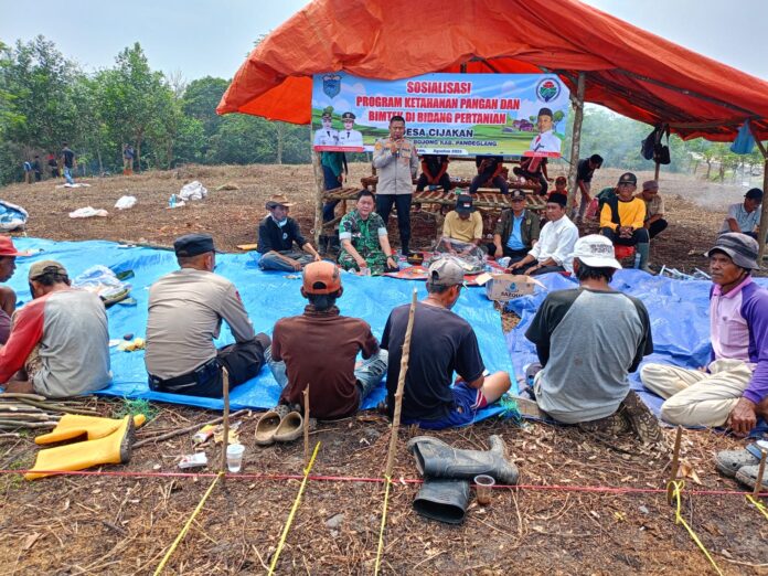 bd79e9d3-9ab2-4d60-bef7-3745702b8d28