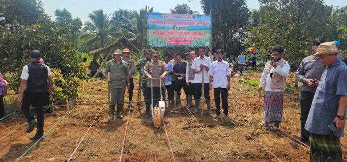 07021edc-518b-4f51-ad22-fe132fd86bca