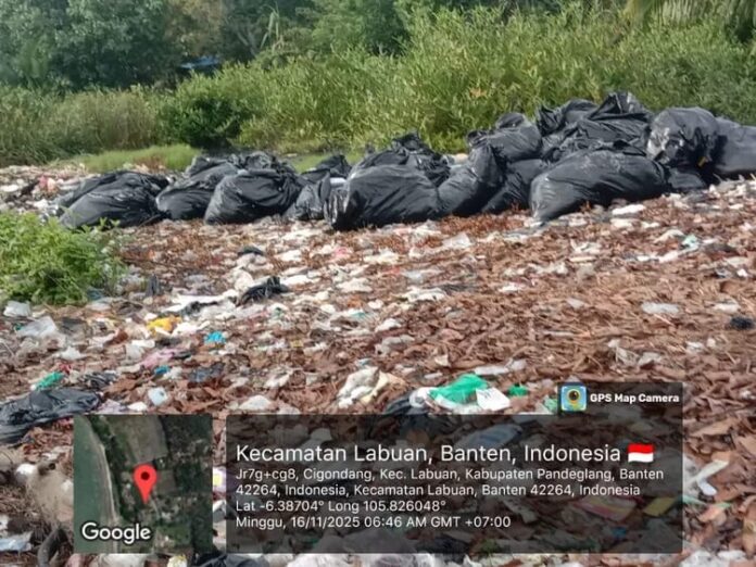 ee7eecc9-e5e6-4923-9986-0a41c46eef1f